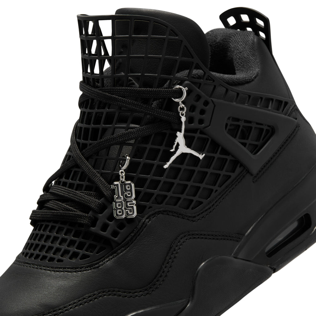 Air Jordan 4 Net