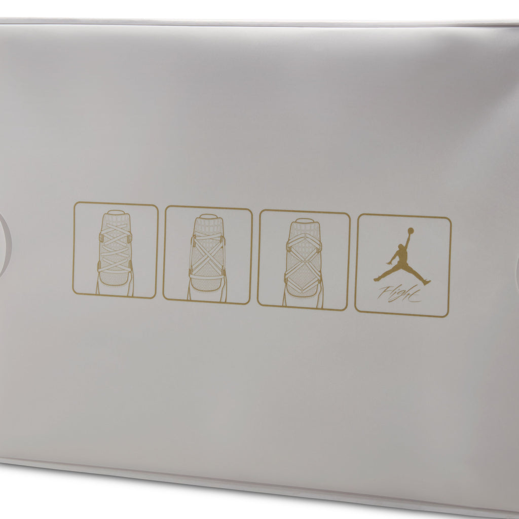Air Jordan 4 Net