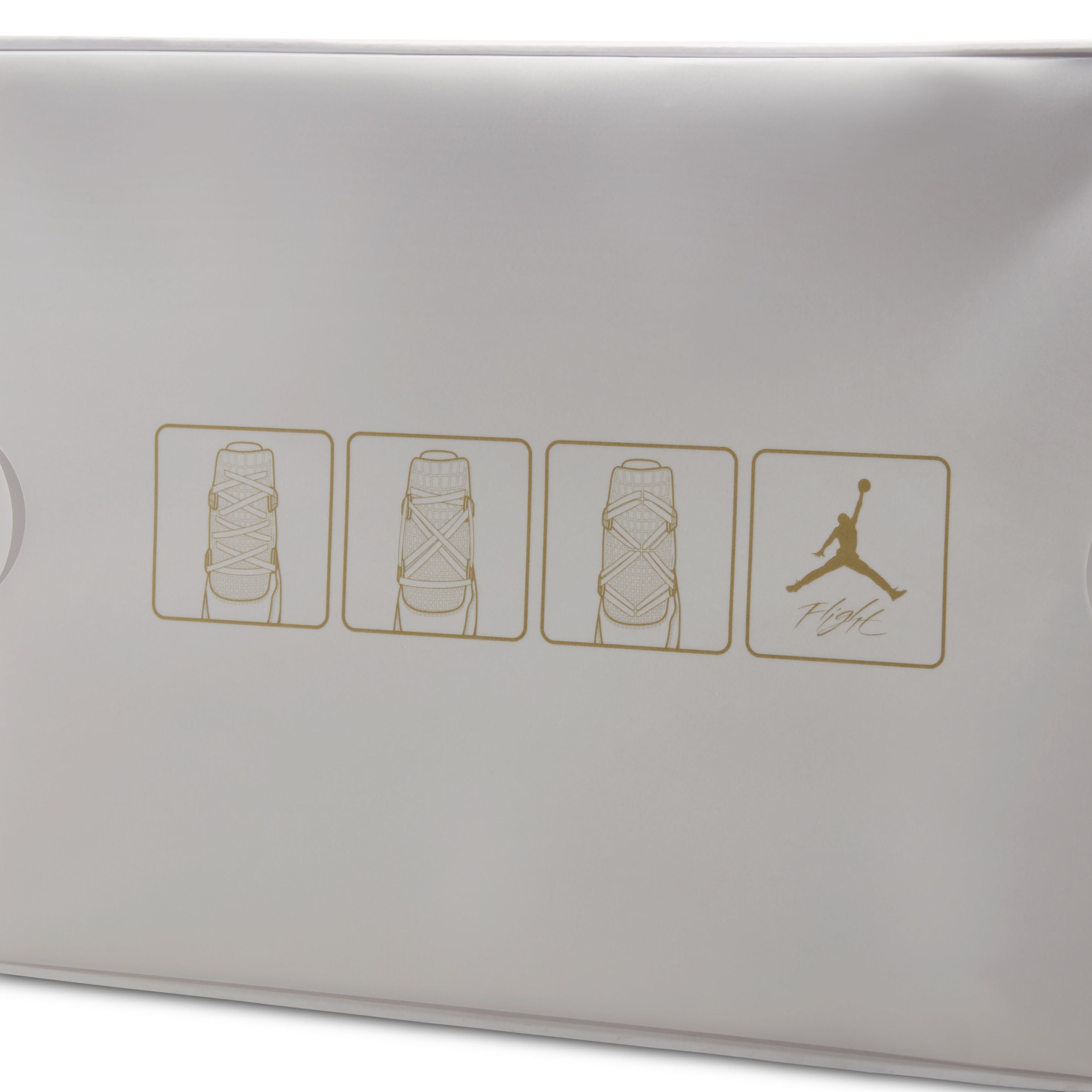 Air Jordan 4 Net
