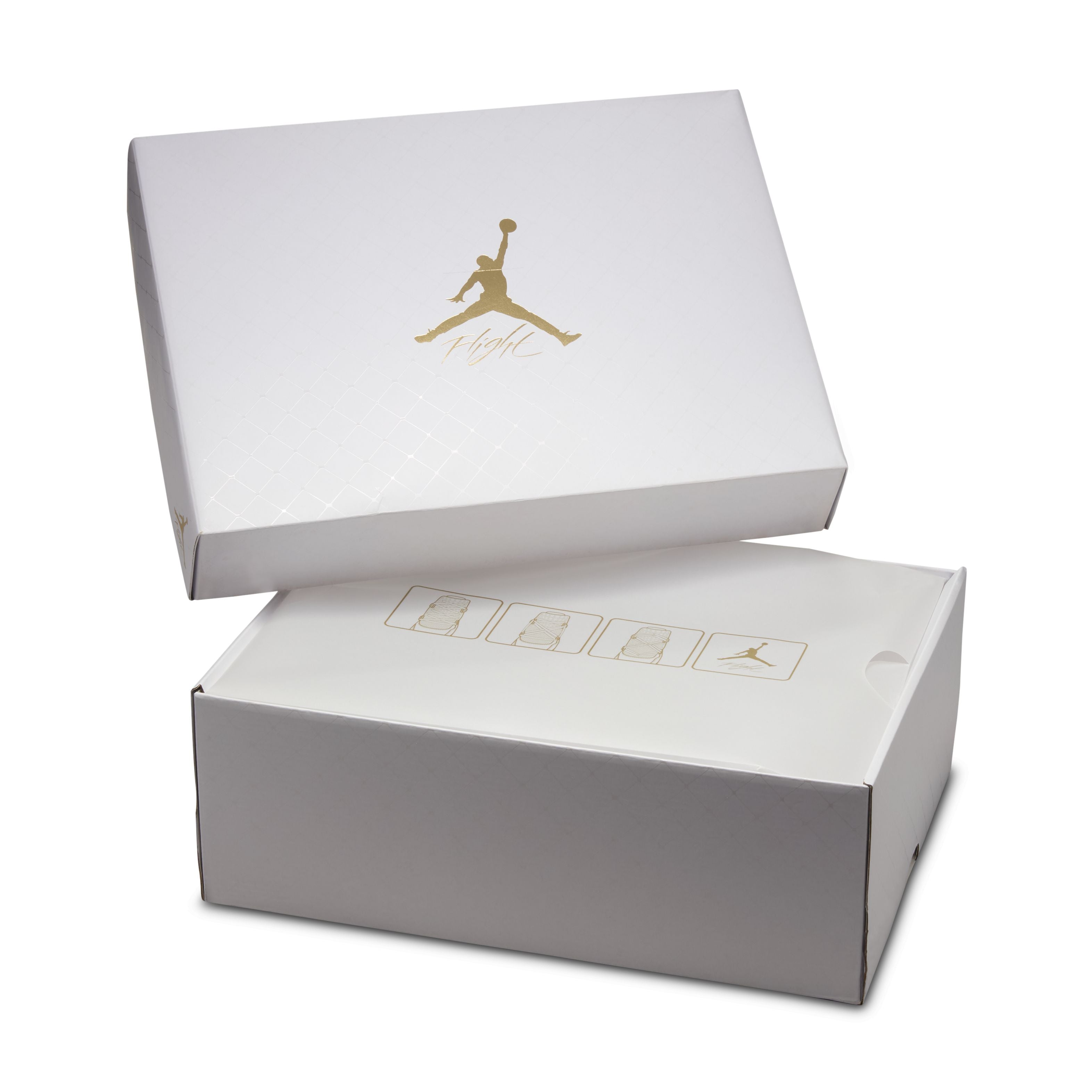 Air Jordan 4 Net