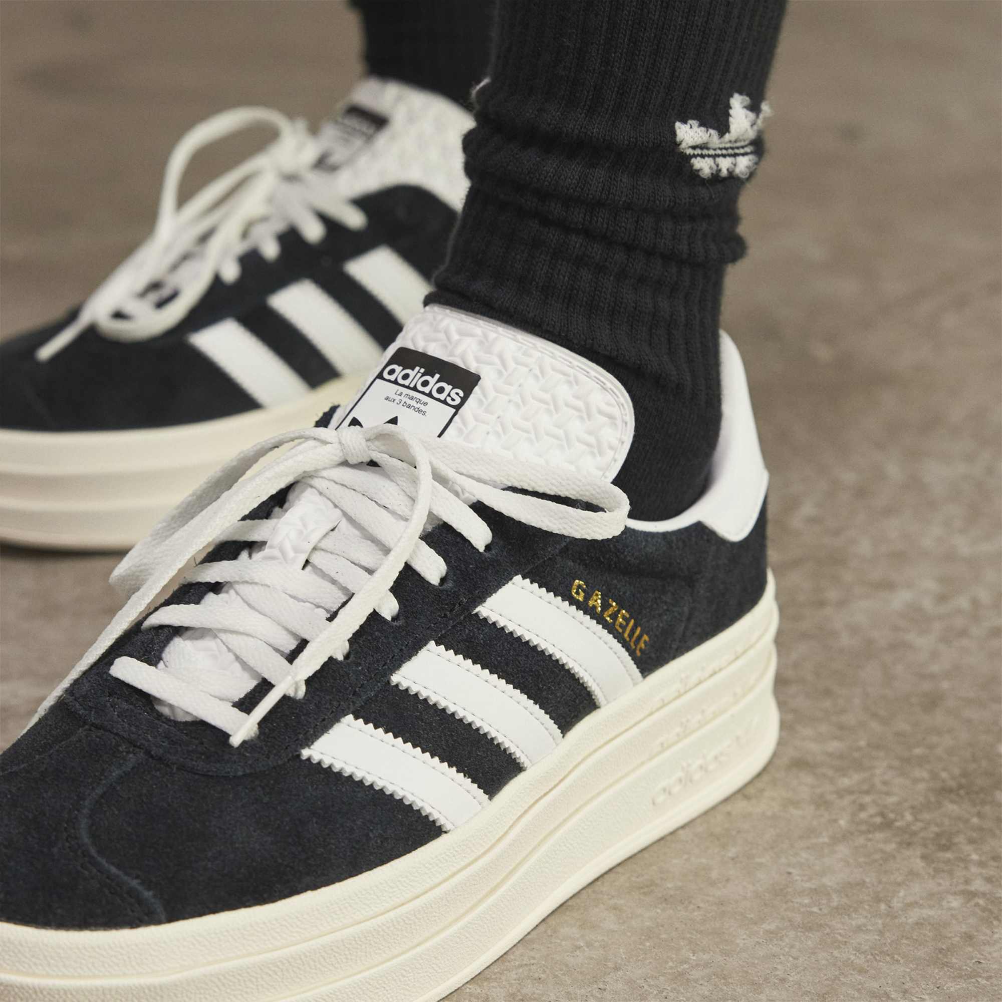 Gazelle Bold