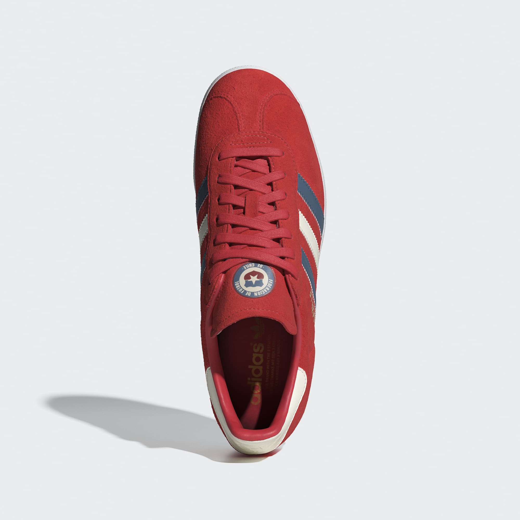 Gazelle Chile