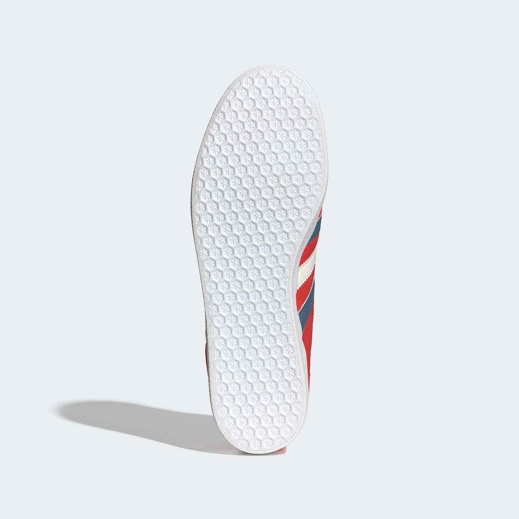 Gazelle Chile
