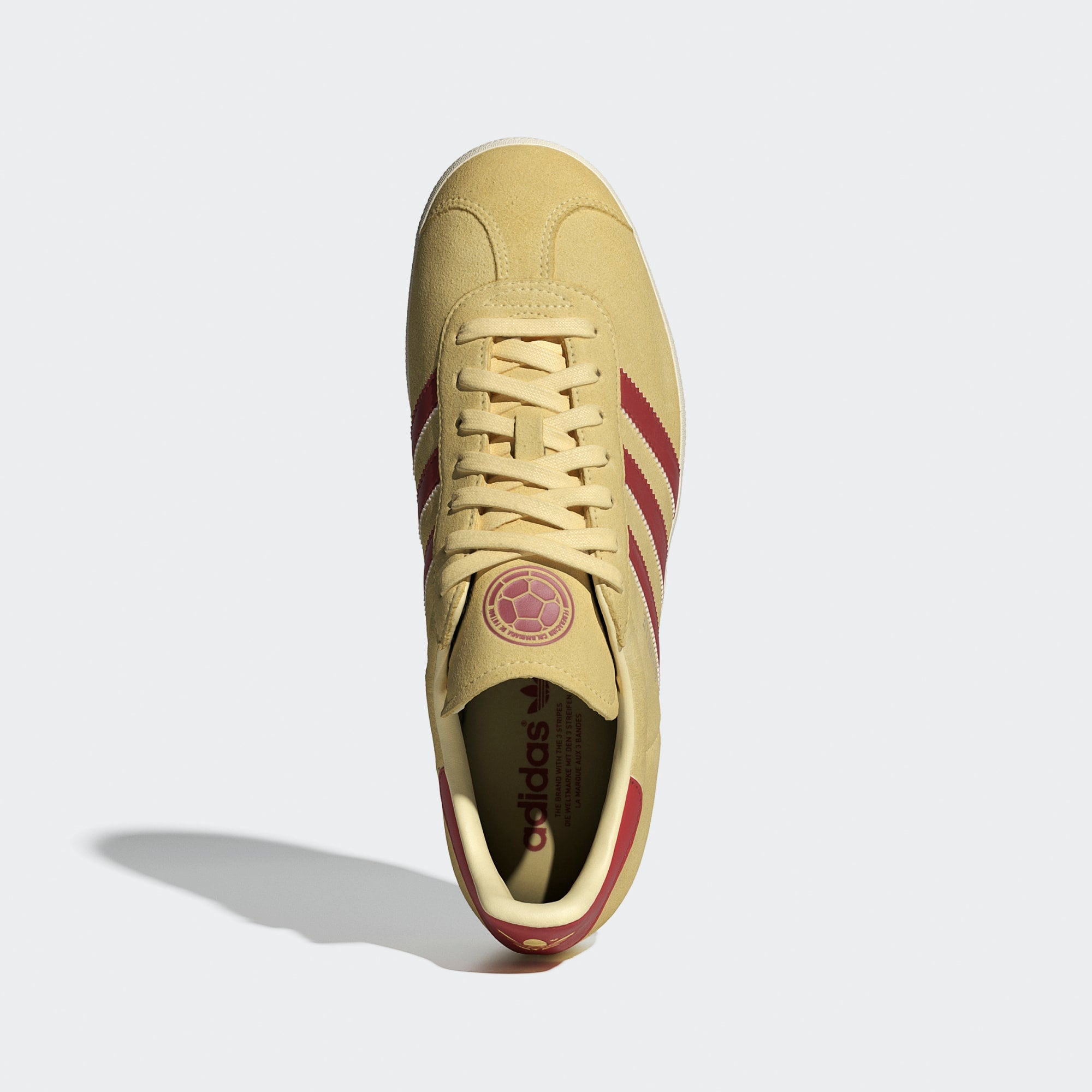 Gazelle Colombia