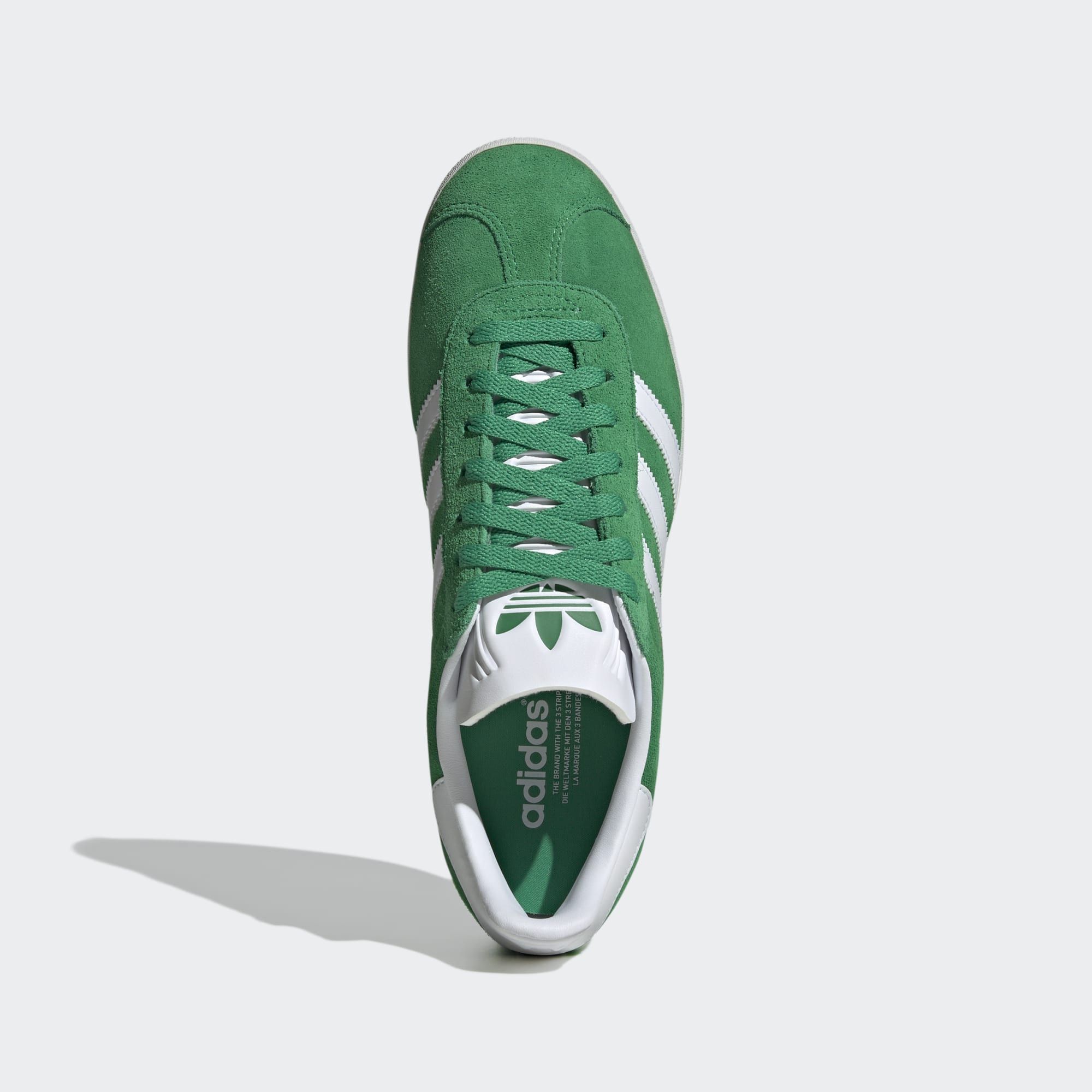 Gazelle