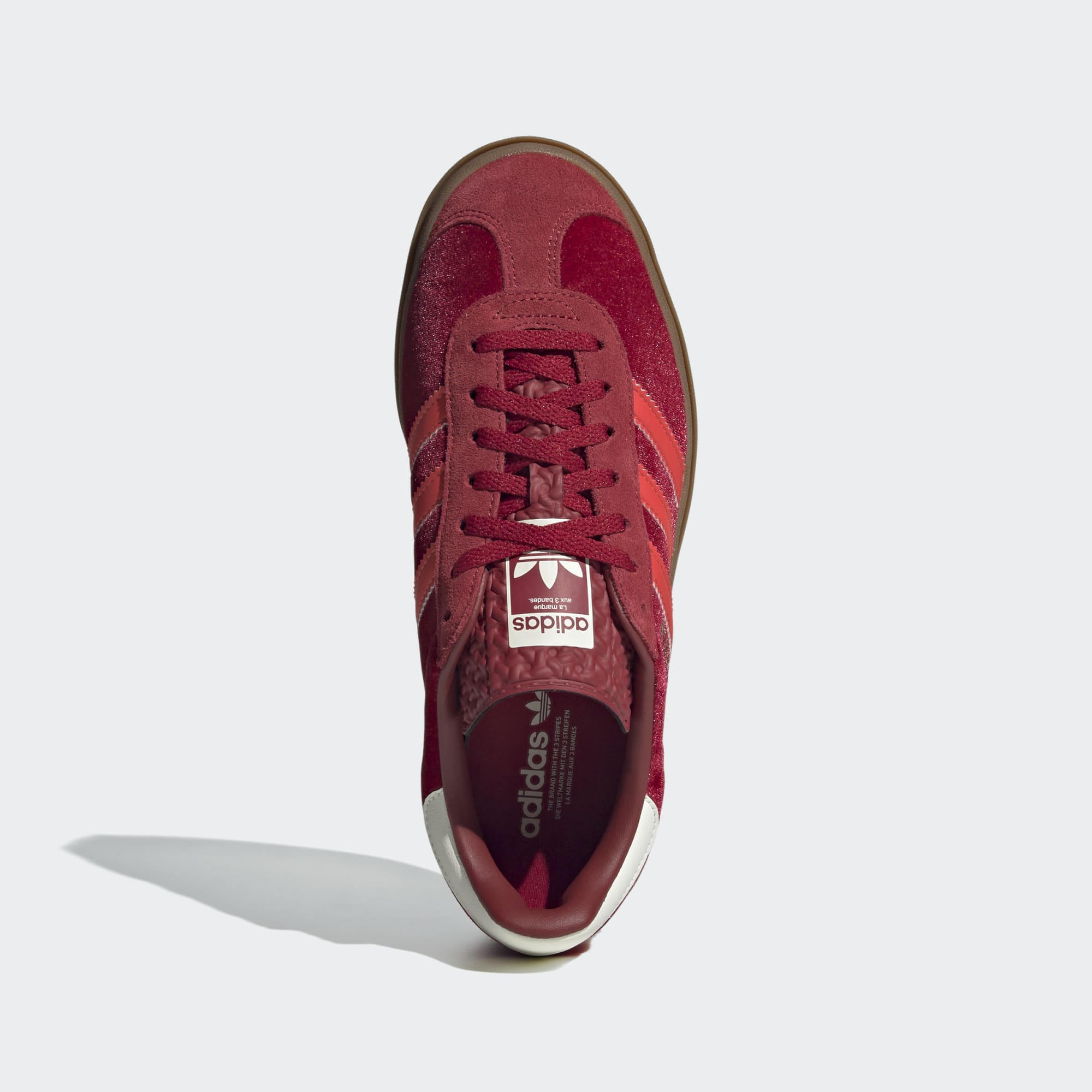 Gazelle Bold