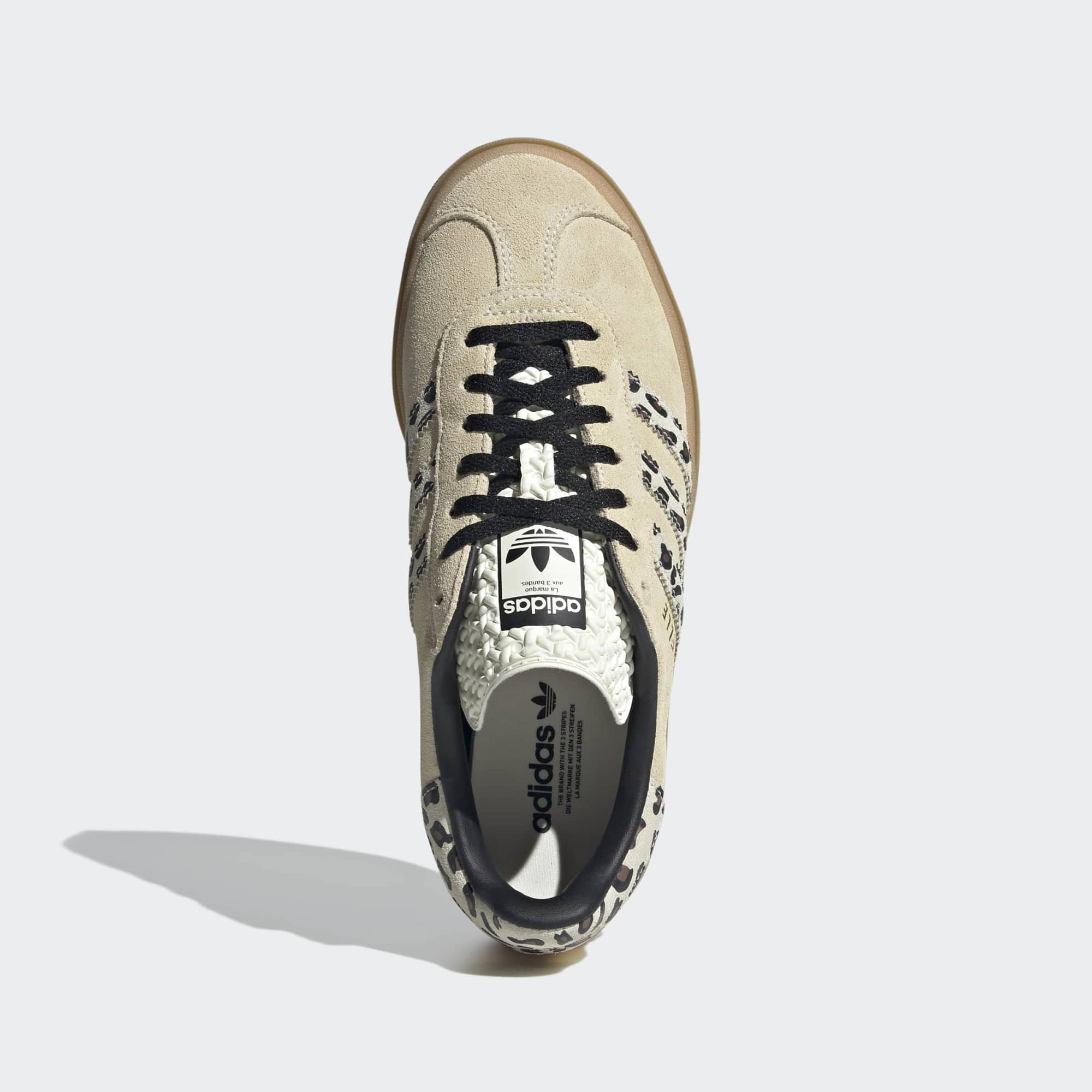 Gazelle Bold