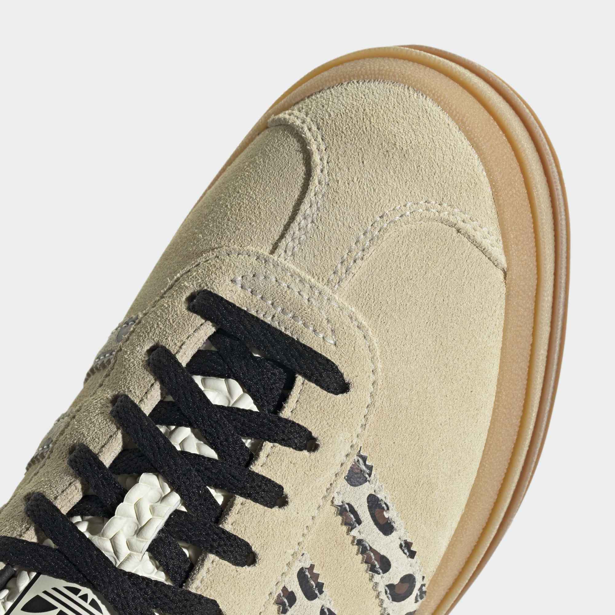 Gazelle Bold
