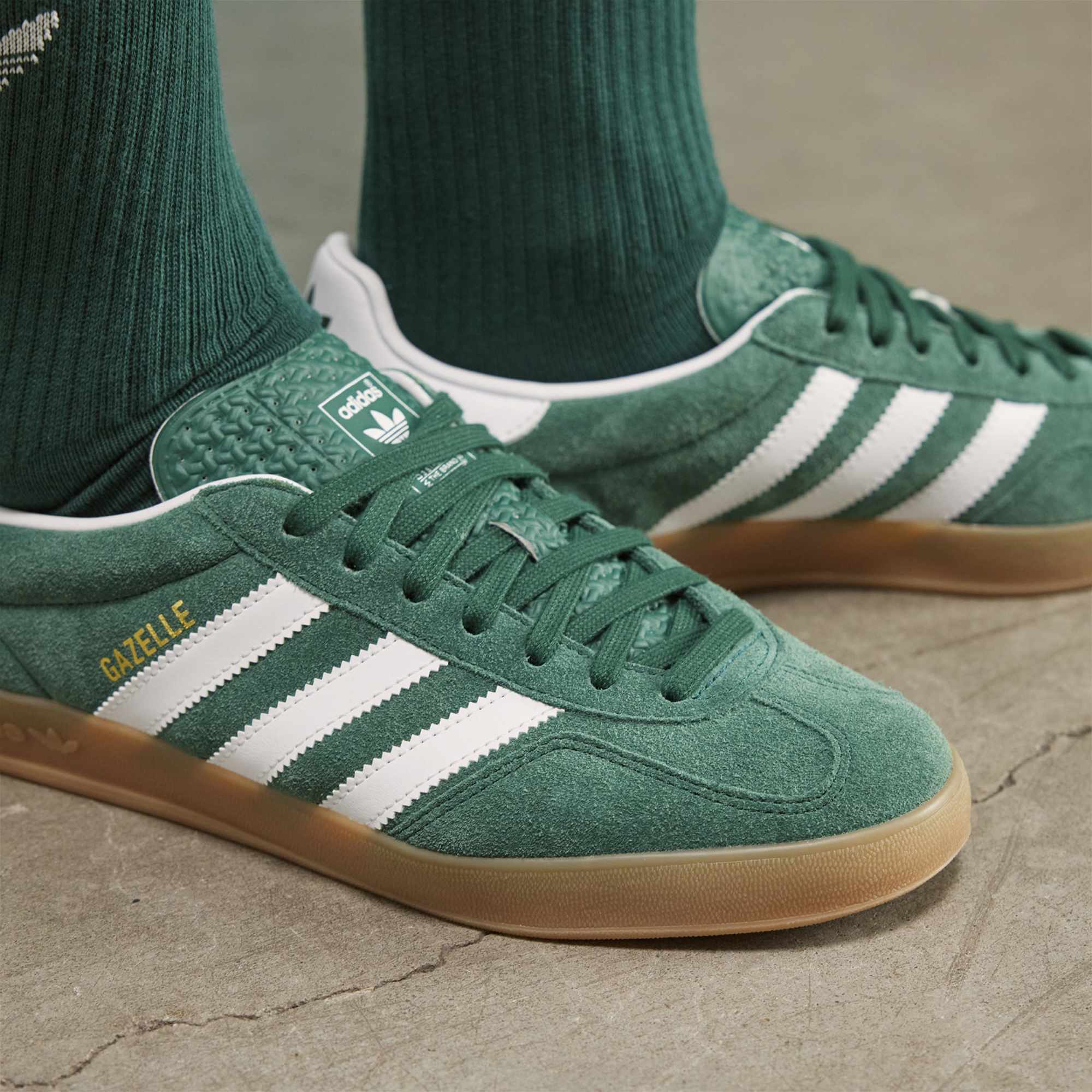 Gazelle Indoor