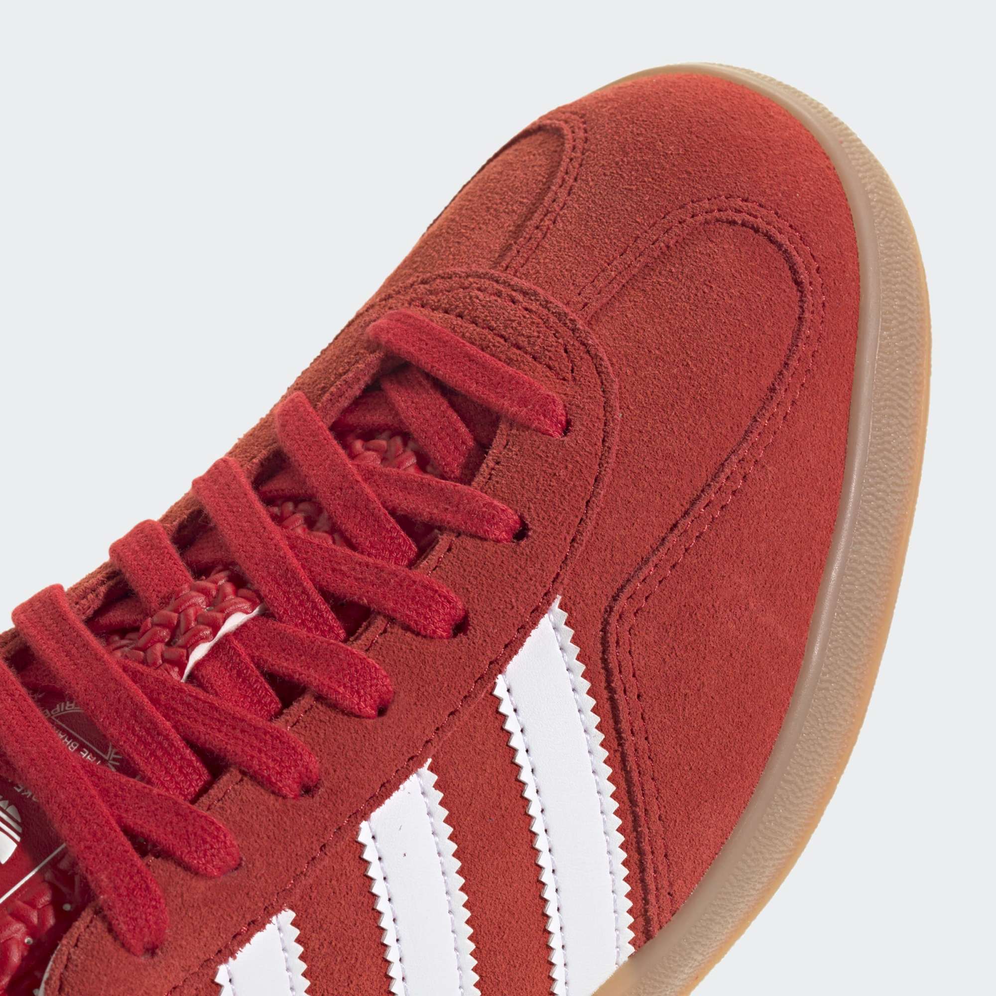 Gazelle Indoor