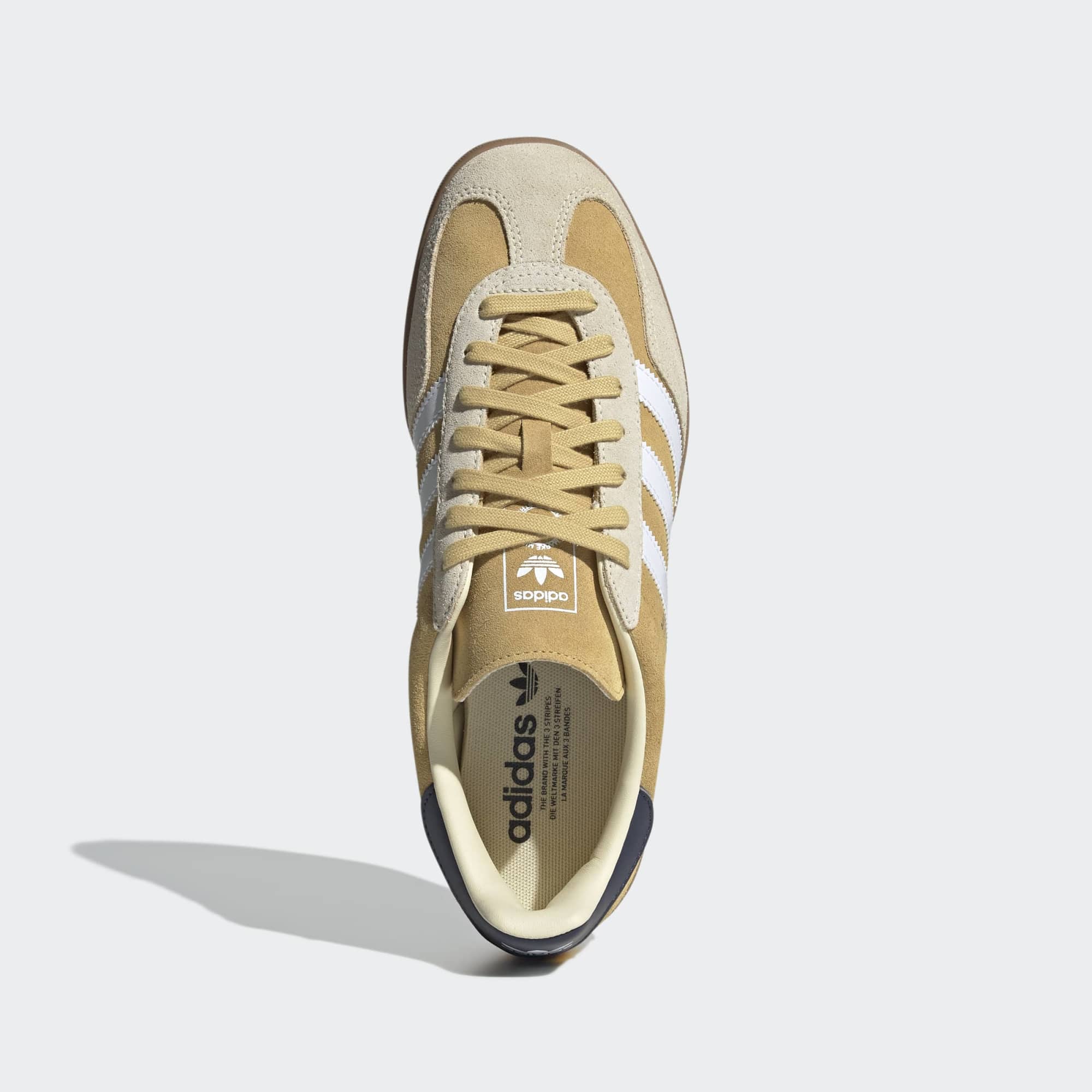 Gazelle Indoor