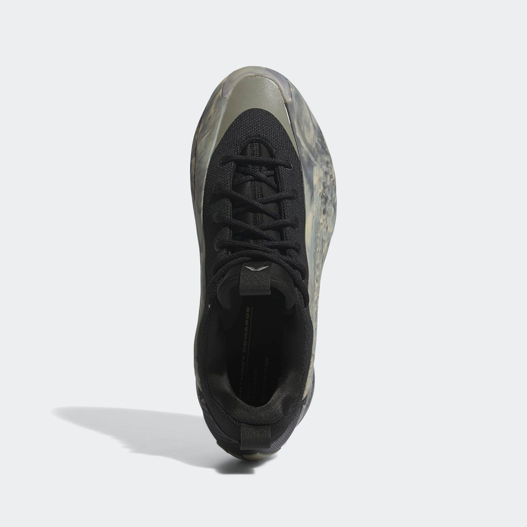 Anthony Edwards 1 Low