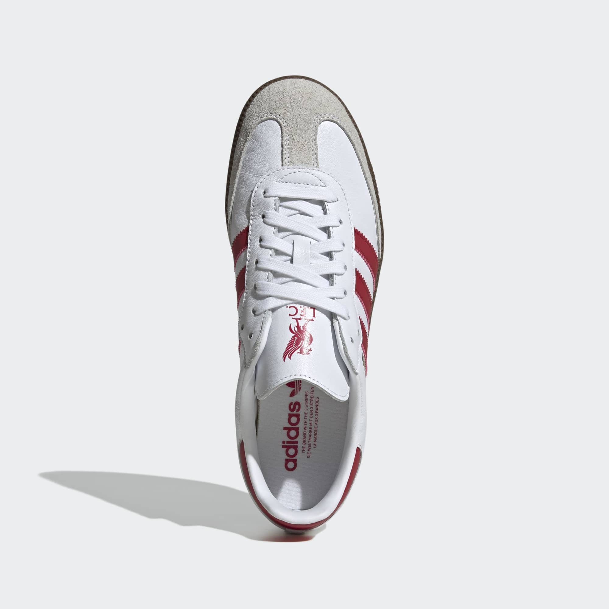 Samba Liverpool FC