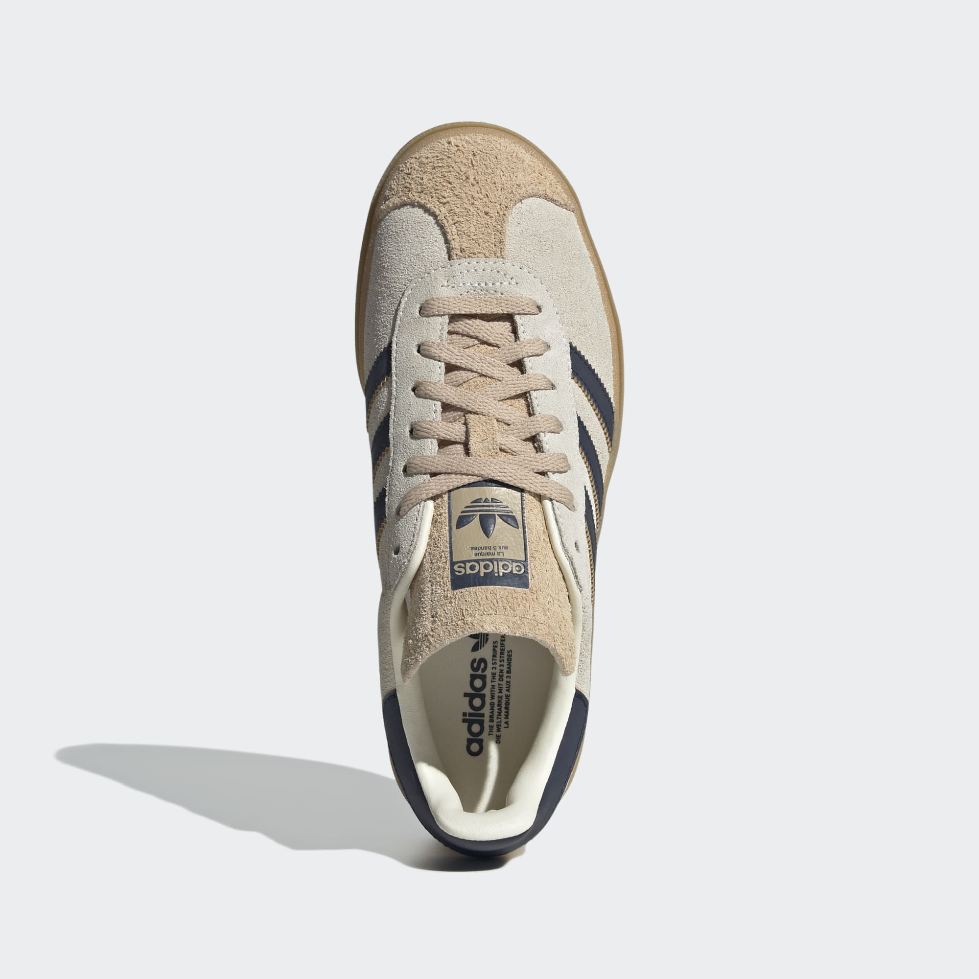 Gazelle Bold
