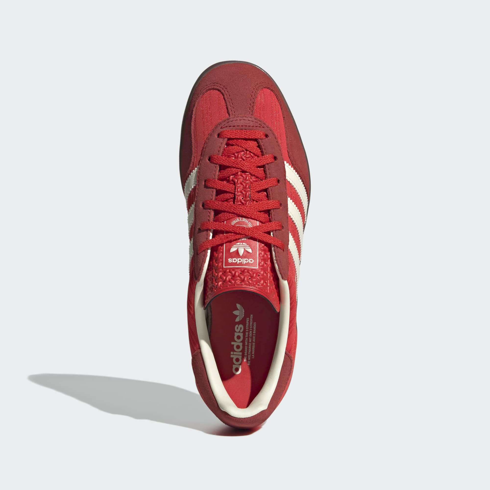 Gazelle Indoor